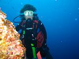 Isla del Coco - 138